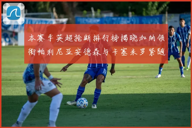 本赛季英超抢断排行榜揭晓加纳领衔帕利尼亚安德森与卡塞米罗紧随其后
